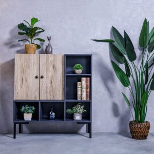 Multi Purpose Cabinet