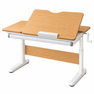 Oakley Study Desk